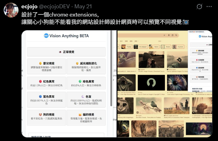Chrome Extension – Vision Anything